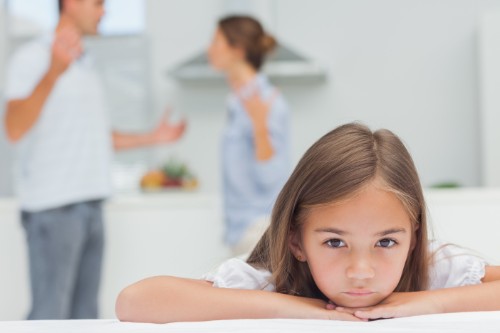 Child Custody Child Custody